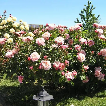 Apartment Cascina Curairone Bossolasco