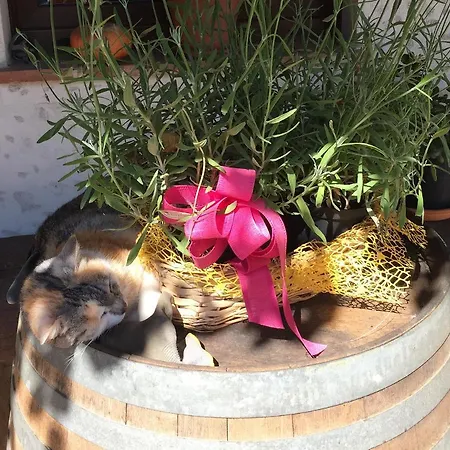 شقة Cascina Curairone *