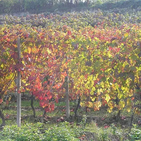 Cascina Curairone Apartamento Bossolasco