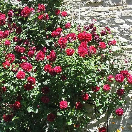 Apartamento Cascina Curairone *