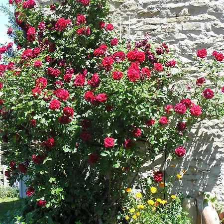 Cascina Curairone شقة