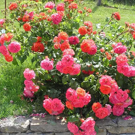 Apartamento Cascina Curairone