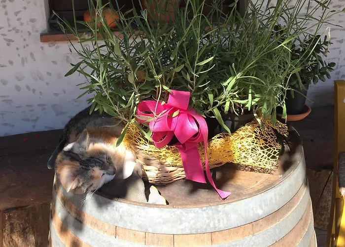 Lejlighed Cascina Curairone *