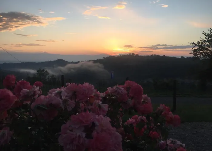 Lejlighed Cascina Curairone