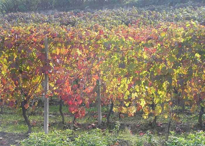 Cascina Curairone Lejlighed Bossolasco