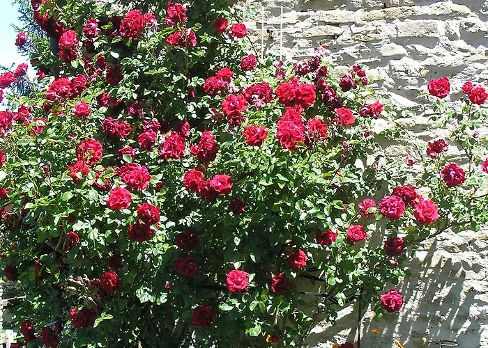 Lejlighed Cascina Curairone *