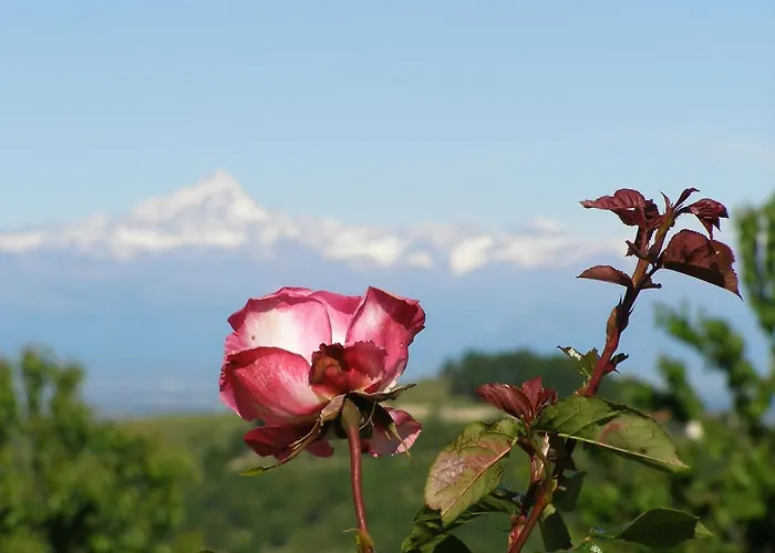 Cascina Curairone Bossolasco