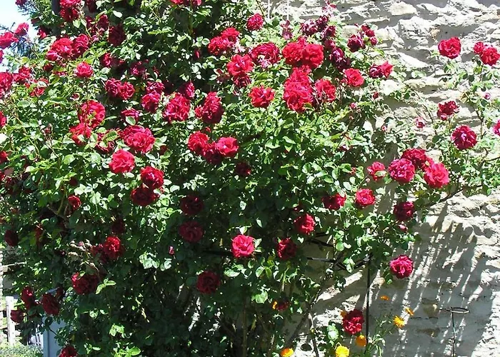 Cascina Curairone Lejlighed