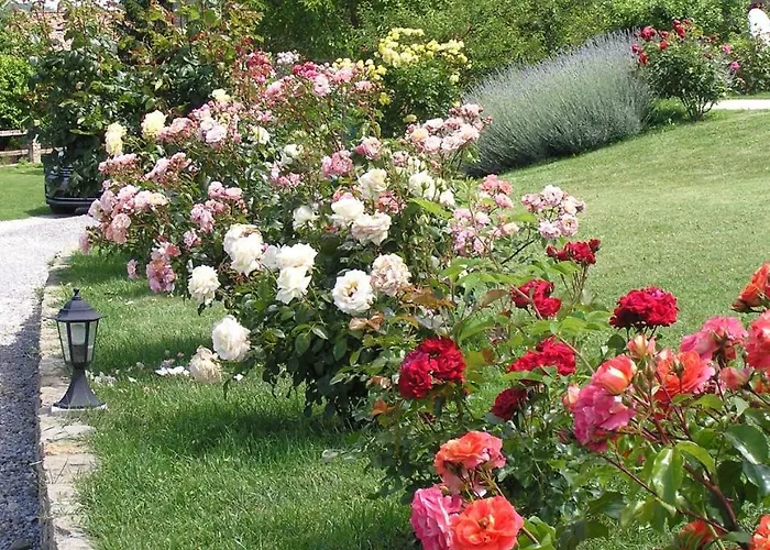 Cascina Curairone * Bossolasco