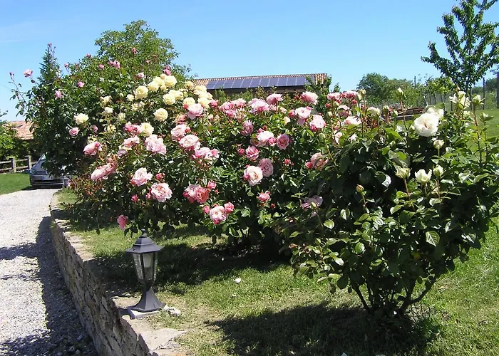 Lejlighed Cascina Curairone