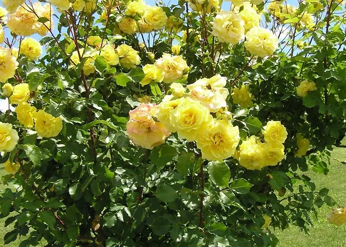 Lejlighed Cascina Curairone Bossolasco